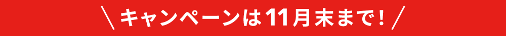 キャンペーンは11月末まで！