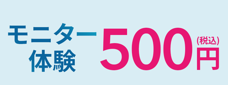 モニター体験　（税込）500円